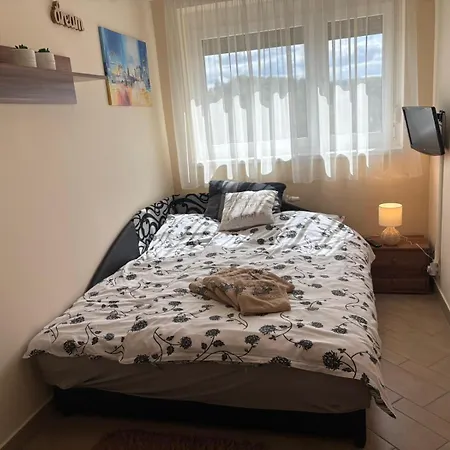 Rozsa Voelgy 에게르