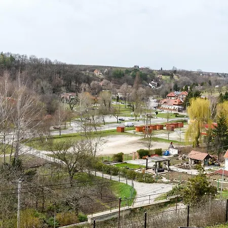 Rozsa Voelgy * 에게르