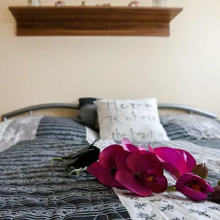 Rozsa Voelgy 아파트