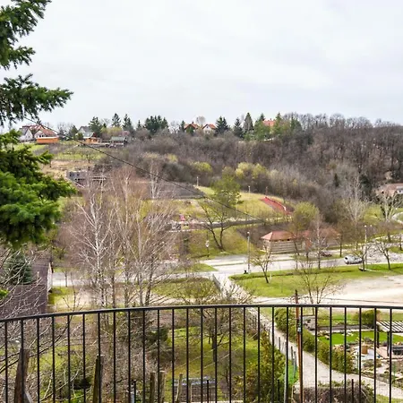 Apartment Rozsa Voelgy