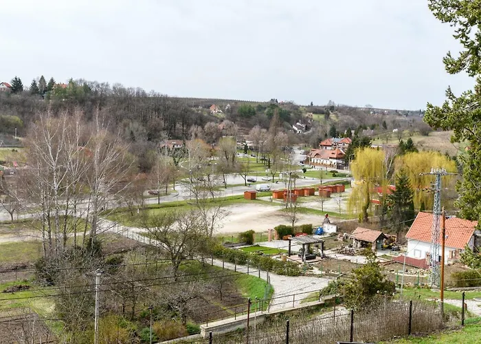 Rozsa Voelgy * 에게르